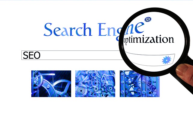 seo search